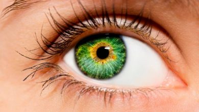 Разноцветные глаза могут стать причиной развития онкологии 11