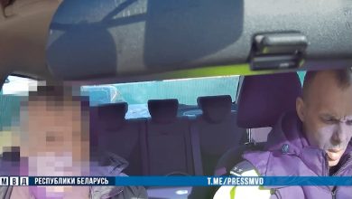 Госавтоинспекция