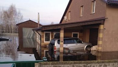 Паводок в Гомельской области