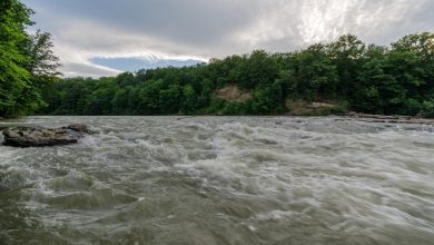 Река Пшеха в Краснодарском крае