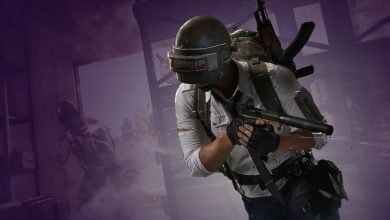 Из игры PUBG Mobile