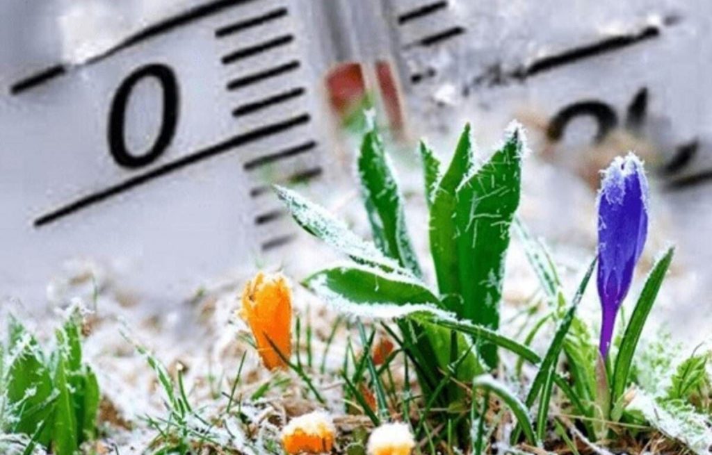 Заморозки весной