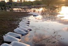 Зарыбление водоемов