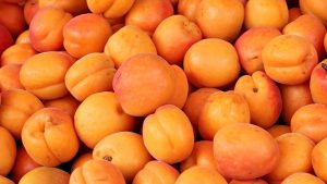 Специалист рассказала, кому стоит отказаться от абрикосов 12