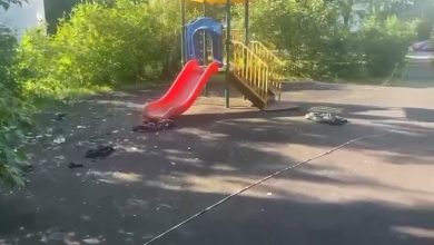 Место происшествия