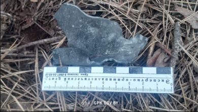 Обломки БПЛА в Гомельской области