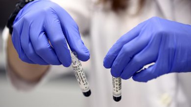 Иммунолог объяснил, почему вернулся метапневмовирус 6