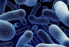 В США обнаружили смертоносную бактерию с летальностью до 50% 21