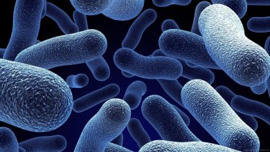 В США обнаружили смертоносную бактерию с летальностью до 50% 1