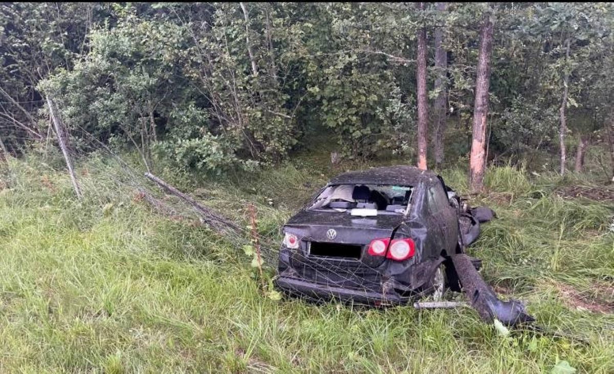 Под Бобруйском автомобиль врезался в дерево, пострадали двое человек