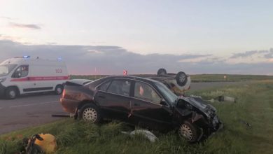 ДТП в Брестской области