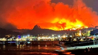 Лесные пожары в Турции