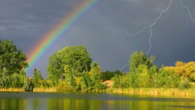 Летний дождь, гроза и радуга