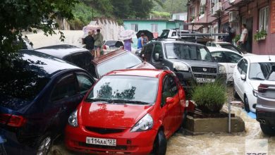 Машины в Сочи