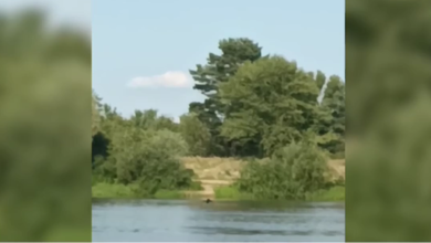 Перехват украинского БПЛА