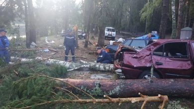 Последствия урагана в Марий Эл