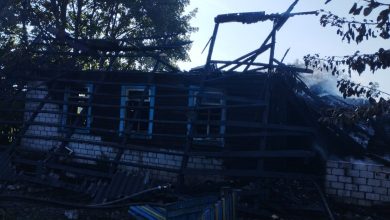 Пожар в Кличевском районе