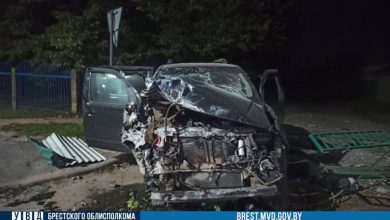 ДТП в Брестской области