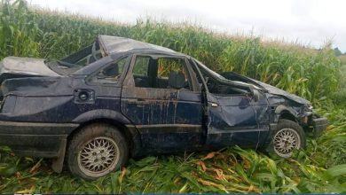 ДТП в Брестской области