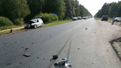 ДТП в Гомельской области