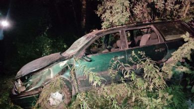 ДТП в Гродненской области