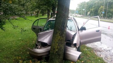 ДТП в Могилеве