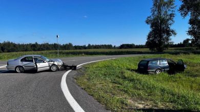 ДТП в Витебской области