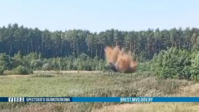 Уничтожение снарядов ВОВ в Брестской области