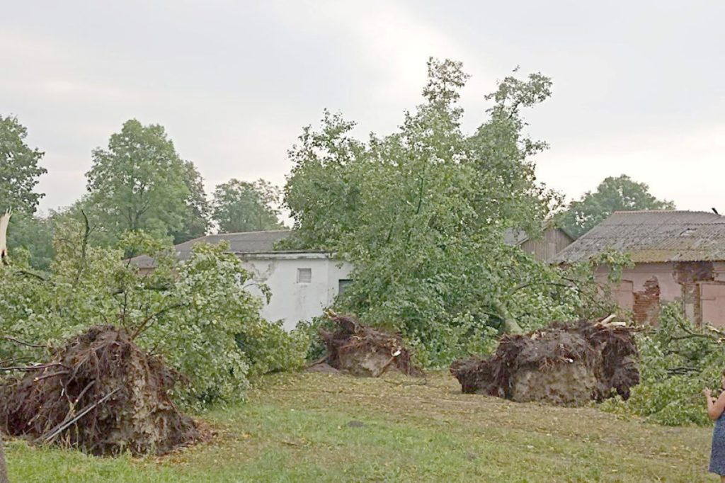 Ураган в Брестской области