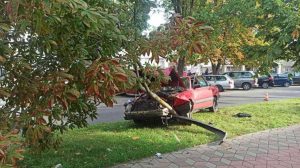 ДТП в Бресте