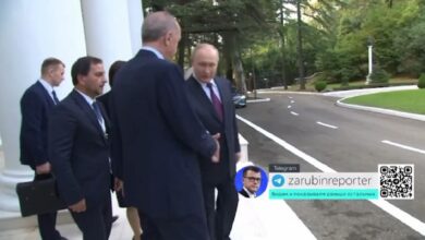 Главы России и Турции Владимир Путин и Реджеп Эрдоган