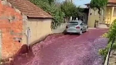 Винные реки в Португалии