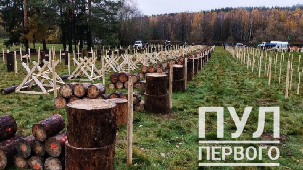 Чемпионат по колке дров