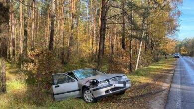 ДТП в Минской области