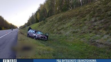 ДТП в Витебской области