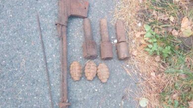 Оружие в Беловежской пуще