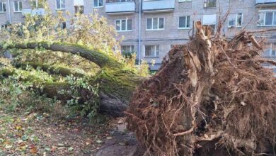 Последствия стихии