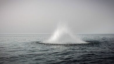 Утечка газа, взрыв а газопроводе