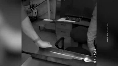 Ввоз оружия