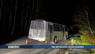 ДТП в Витебской области