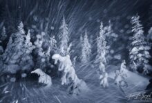 Метель, вьюга, снег