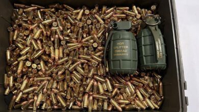 Подарок Частякову с гранатами