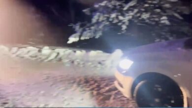 Авария в Логойском районе