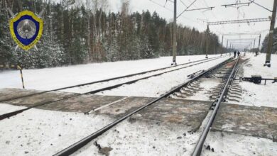 Брестская область