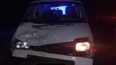 ДТП в Могилевской области