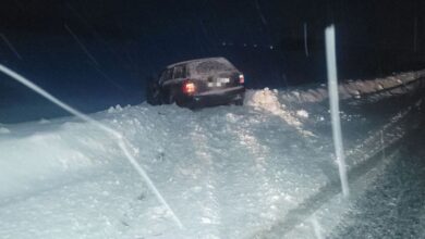 ДТП в Витебской области