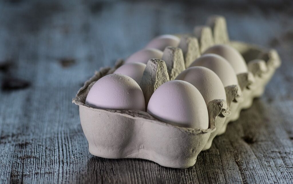 яйца пищевые, поставки