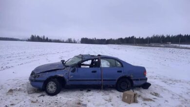 ДТП под Минском