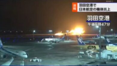В Японии загорелся самолет