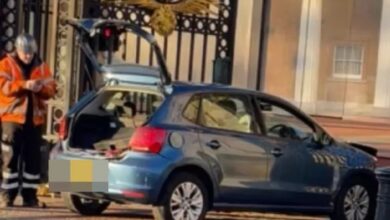 Автомобиль врезался в ворота Букингемского дворца